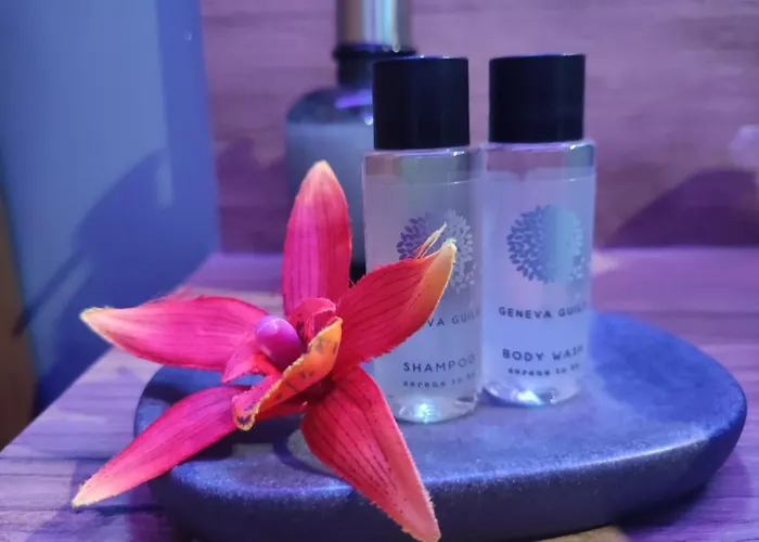Cocon D\'Evasion**** Spa Privatif Et Ciels Etoiles